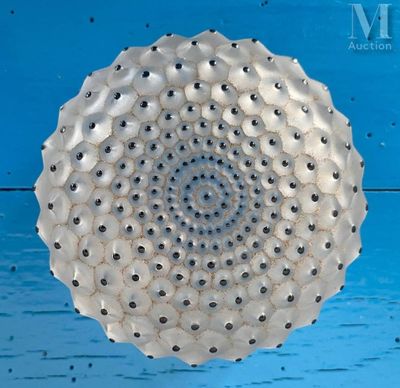 une image représentant un objet circulaire composé de coquillages