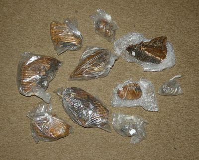 de nombreux sacs de nourriture posés par terre