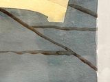 a bird that is sitting on a branch in the water