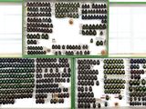 a lot of bottles of wine on the wall