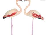 pair of pink flamingos making a heart shape with their beaks