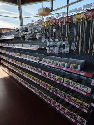 many items on the shelves in the store for sale