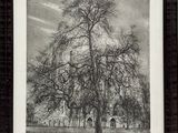 une photo en noir et blanc d'un arbre devant un immeuble