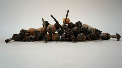 a pile of nuts that are sitting on the ground