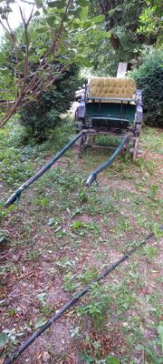 un cheval tirant une charrette chargée de foin dans la cour