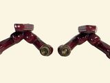 two red fire hydrants with brass fittings on them