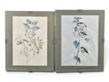 deux photos encadrées représentant des fleurs sur fond blanc