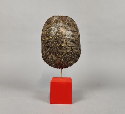 sculpture représentant une tortue posée sur un socle rouge, sur fond blanc