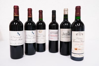 plusieurs bouteilles de vin sont alignées sur une surface blanche