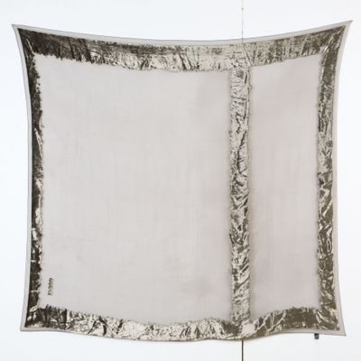 une image représentant un morceau de feuille d'argent sur une surface blanche