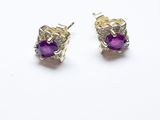 une paire de boucles d'oreilles en pierre violette sur fond blanc