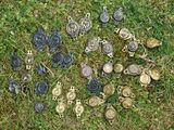 beaucoup de boutons qui sont sur l'herbe
