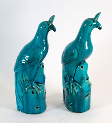 two blue birds that are sitting on top of each other