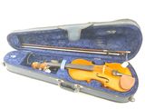 a violin in a case with a bow in it