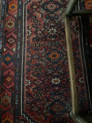 a cat that is sitting on a rug on the floor