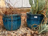 deux pots bleus posés par terre, contenant des plantes