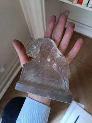 une personne tenant un objet en plastique transparent dans la main