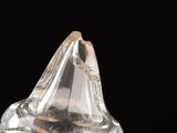 a clear glass bottle with a small amount of liquid inside of it