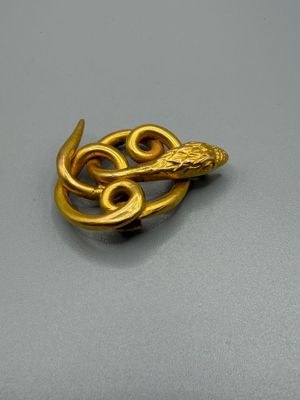 a close up of a gold brooch with a snake on it