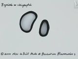 a picture of a black and white picture of a pair of scissors