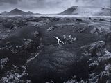 une photo en noir et blanc d'un chien qui court dans un champ