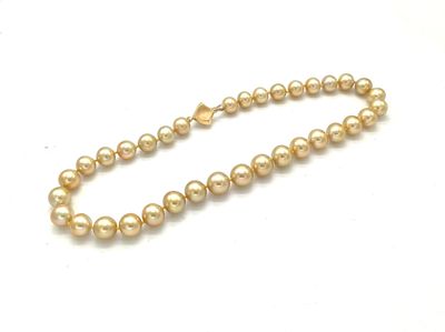 gros plan d'un collier de perles sur une surface blanche