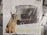a dog that is sitting on a shelf in a store