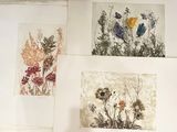 four prints of wildflowers on the wall of a room
