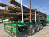 un gros camion avec un chargement de grumes à l'arrière