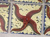four starfishs painted on ceramic tiles on a tile floor