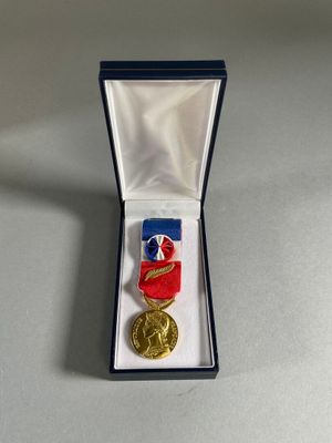 a close up of a medal in a box on a table