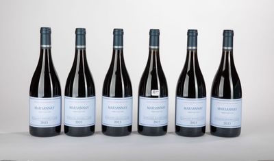 six bouteilles de vin rouge alignées