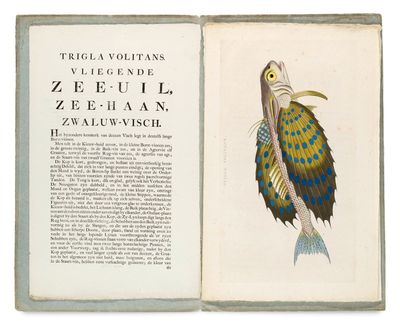 un livre ouvert dont la couverture est ornée d'un dessin représentant un oiseau