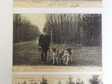 deux vieilles photos en noir et blanc représentant une calèche et un groupe de chiens