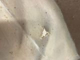 a close up of a piece of cloth on a table