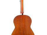 a close up of an acoustic guitar on a white background