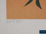 an image of a drawing of a flower on a piece of paper
