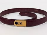 a belt with a gold buckle and a black belt with a gold buckle