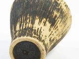 a close up of an elephant ' s tusk on a white surface