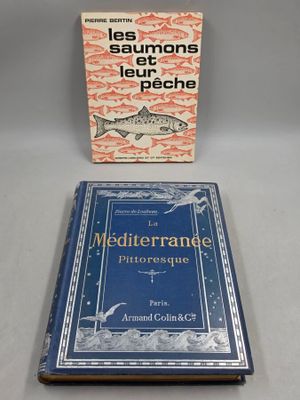 un livre sur lequel figure un poisson, à côté d'un autre livre posé sur une table