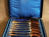 six spoons in a case with a blue cover