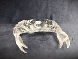 an image of a clear glass crab on a black background