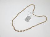 gros plan d'un collier auquel est attachée une étiquette