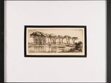 un dessin en noir et blanc représentant des arbres et de l'eau, dans un cadre noir