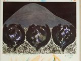 a picture of a picture of a group of black bears