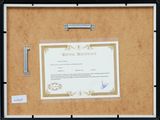 a picture of a picture of a certificate in a picture frame