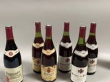 six bouteilles de vin sont alignées sur une surface blanche