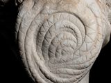 a statue of a woman with a spiral design on her head
