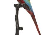 un perroquet rouge et vert perché sur une branche d'arbre