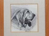 dessin d'un chien dans un cadre en bois sur fond noir et blanc